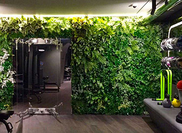 Verde Artificiale per pareti d'interni